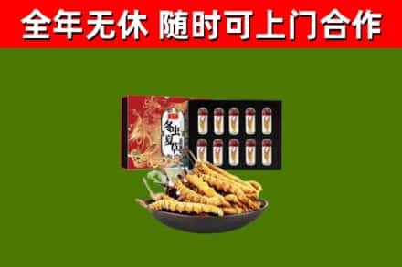 瀍河回收冬虫夏草价格