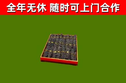 瀍河烟酒回收海参.jpg